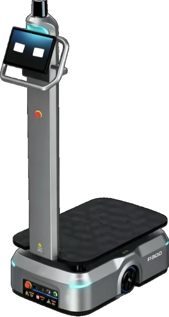 AI Delivery Robot：P300